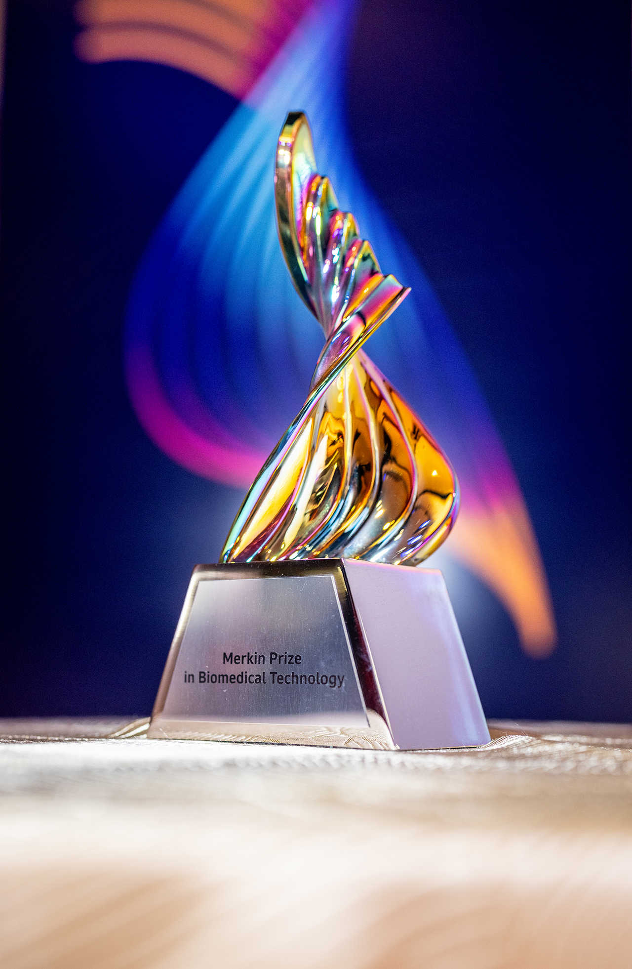 Photograph of the Merkin Prize.